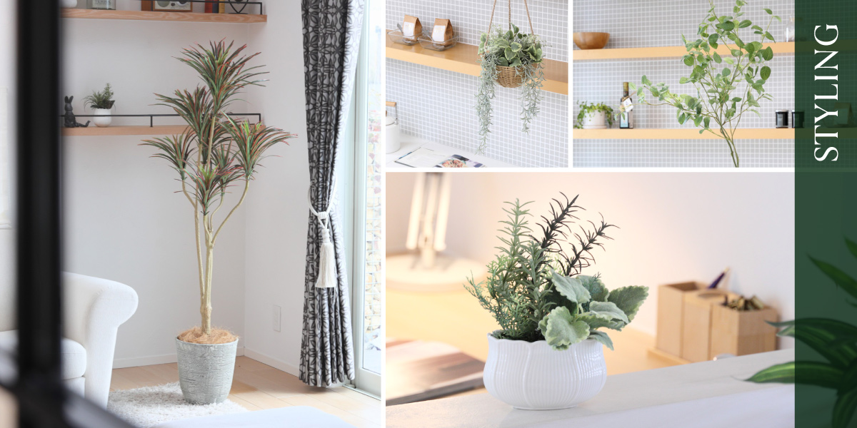 観葉植物が主役。おしゃれな抜け感スタイル