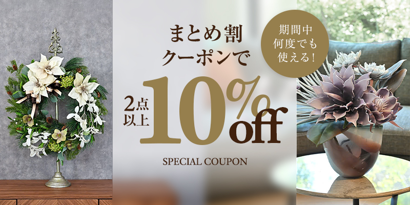 /images/c/all-items/2buy_coupon_slider.jpg