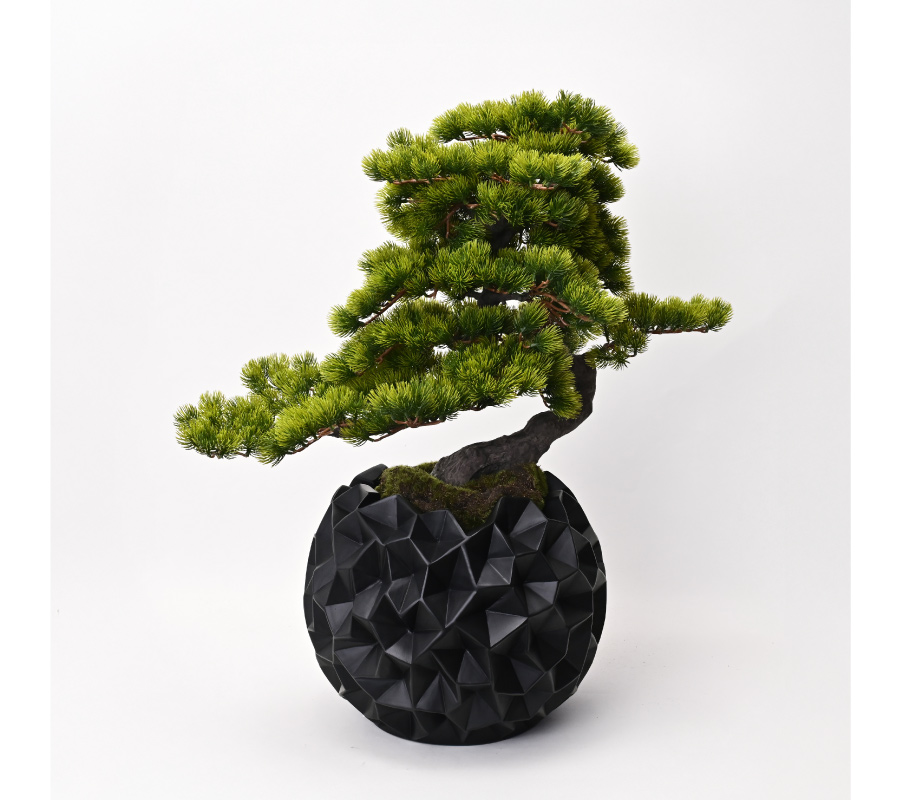 盆景美[05]