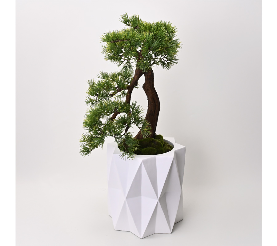 盆景美[06]