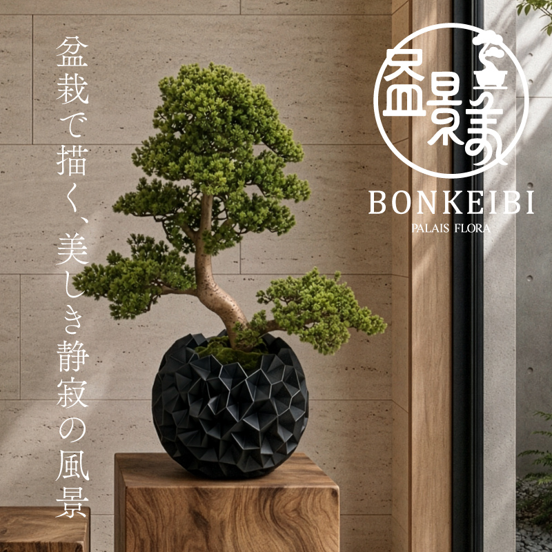 盆栽で描く静寂の風景。盆景美コレクション