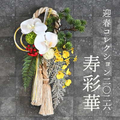 迎春コレクション2026