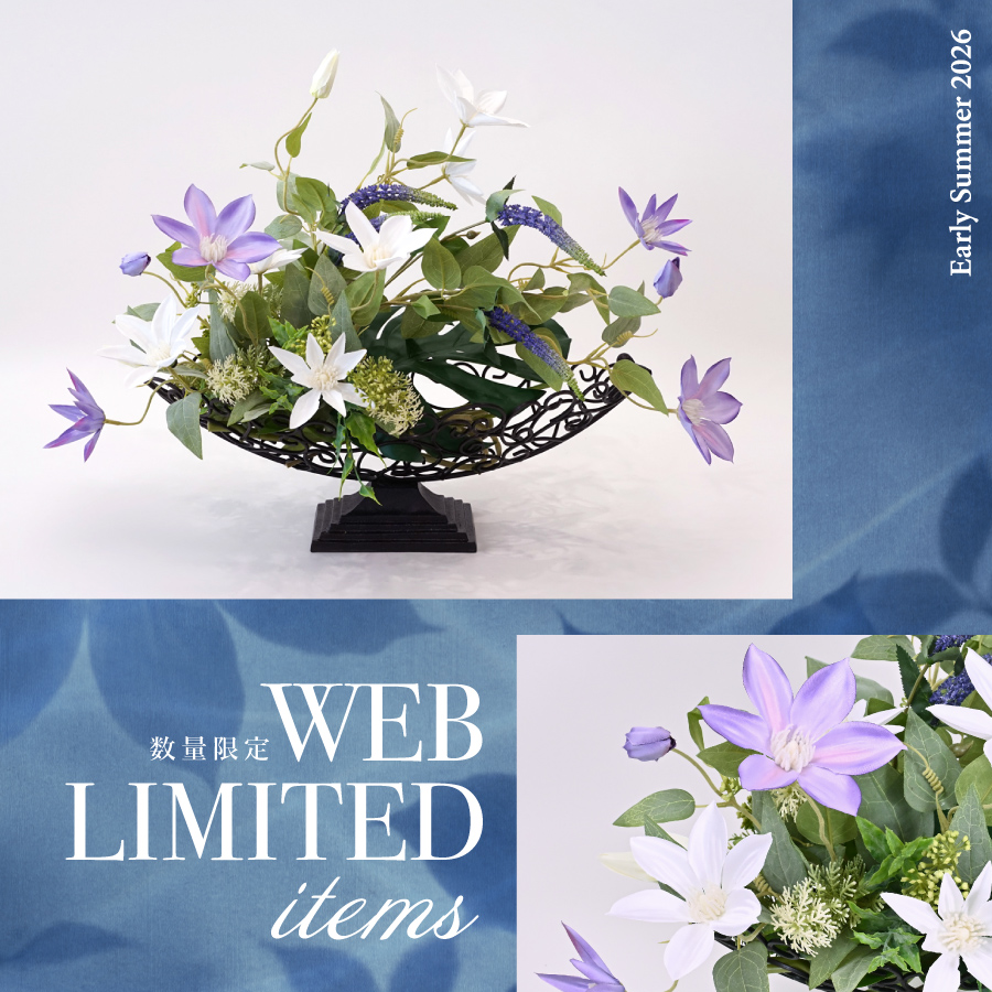 WEB621