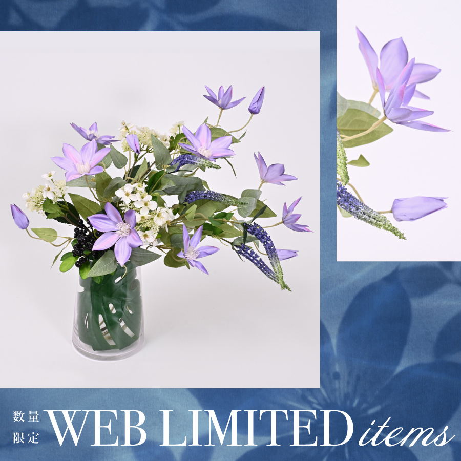 WEB619