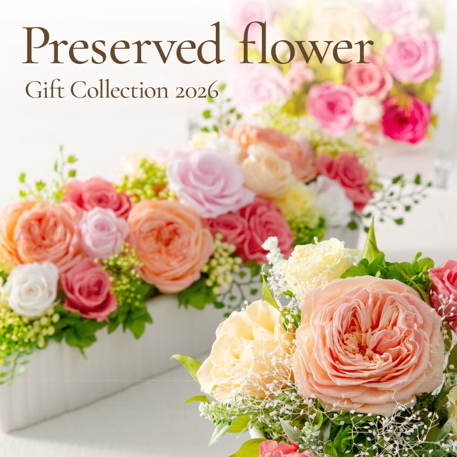 記憶に残る美しさ。プリザーブドフラワーコレクション2026