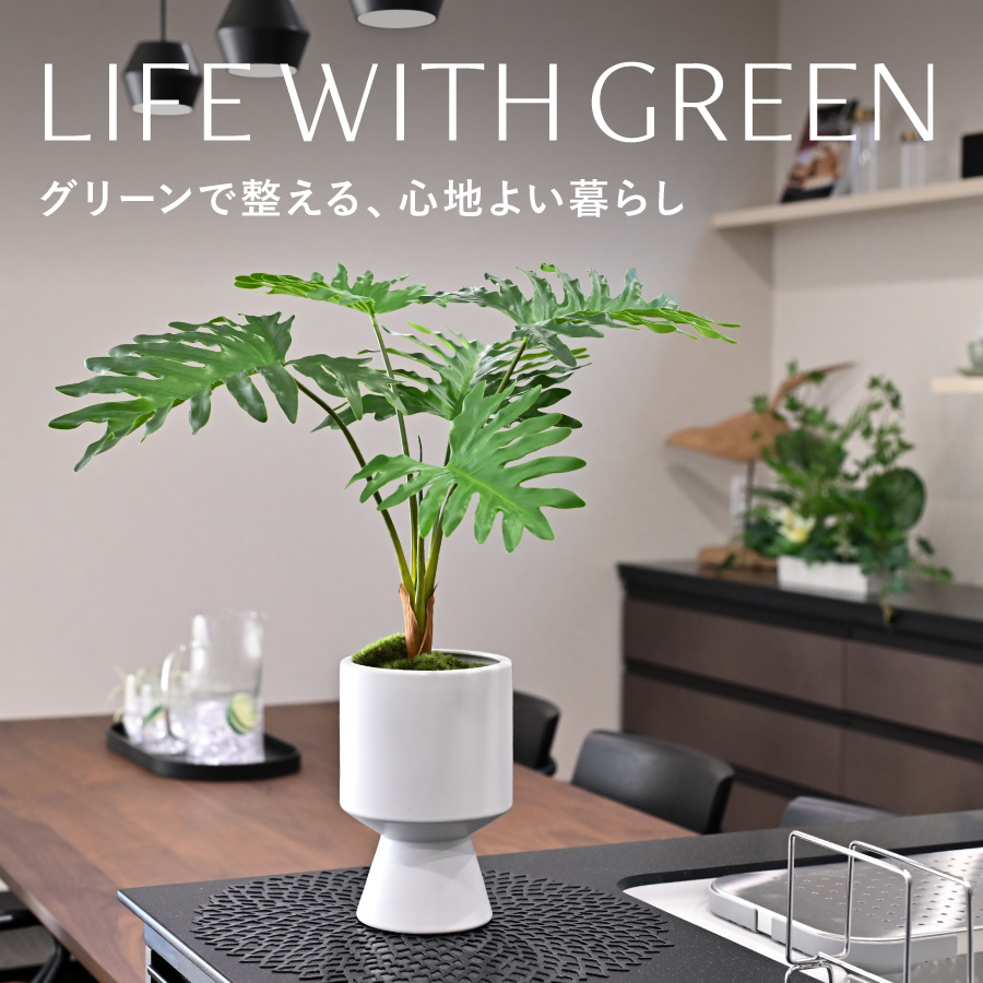 グリーンで整える、心地よい暮らし