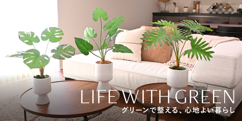 グリーンで整える、心地よい暮らし