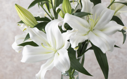 お悔やみ・お供え