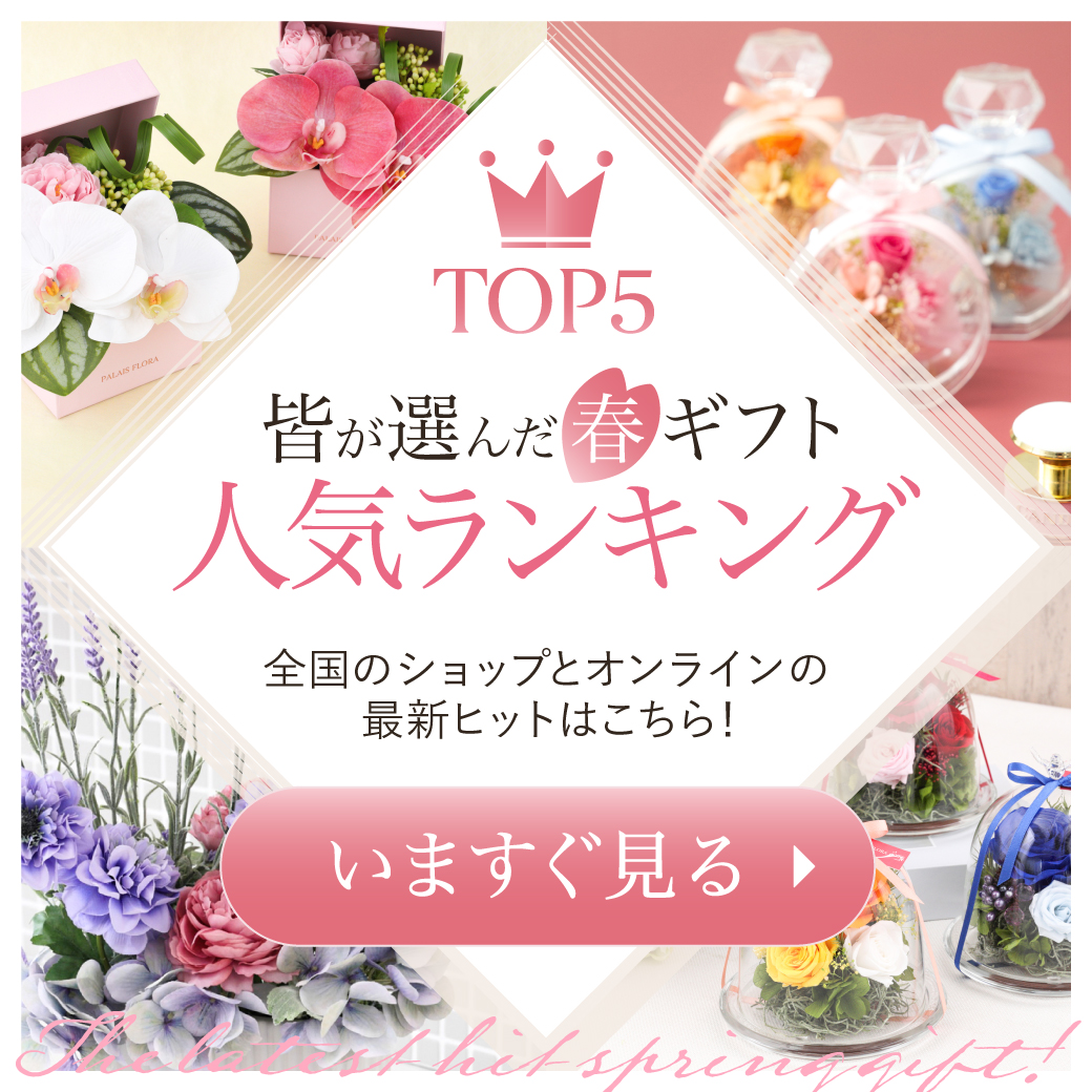 《歓送迎/栄転祝い/新生活のお祝い》