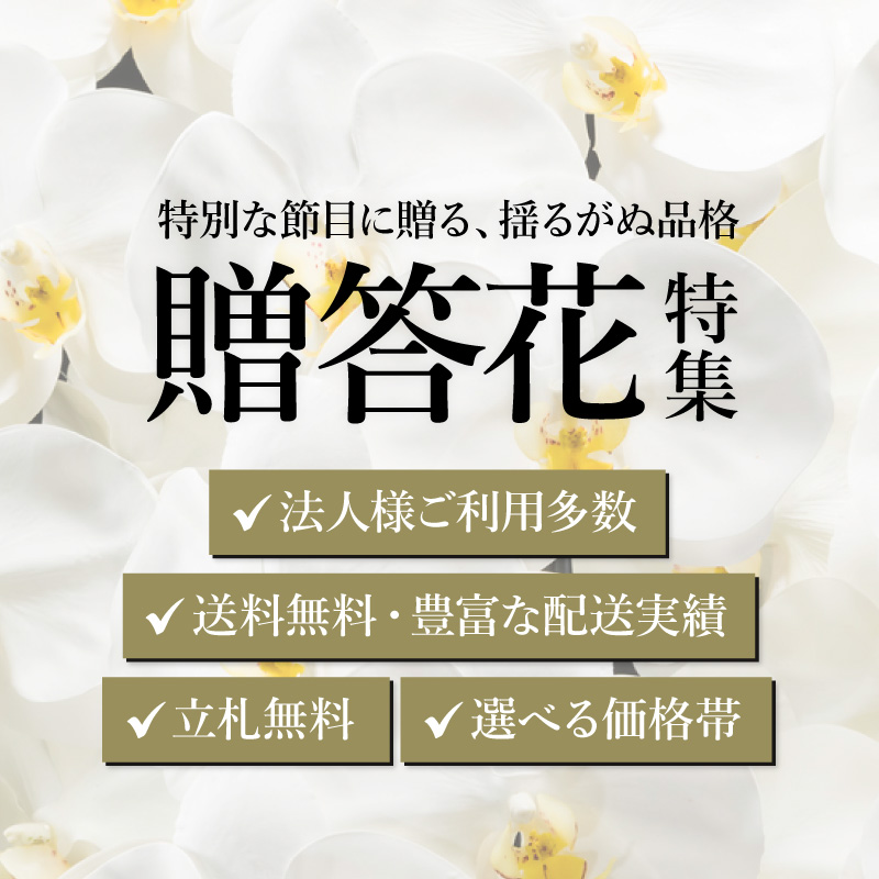 《開業祝い/移転祝い/就任祝い/退任祝い》贈答花特集