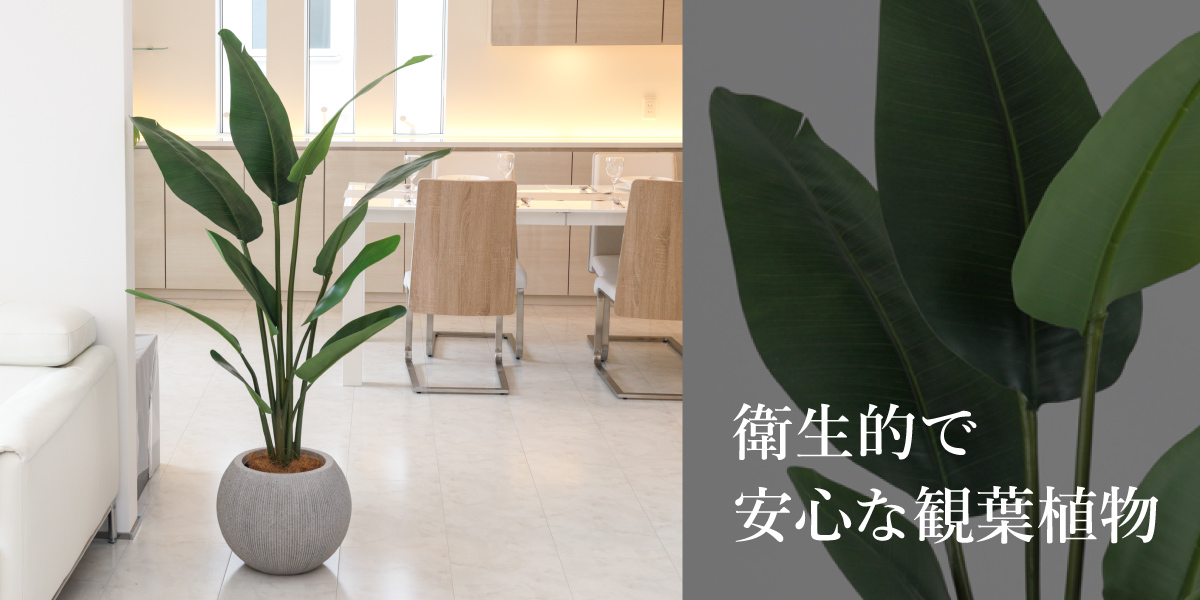 病院やオフィスに人気の「観葉植物」
