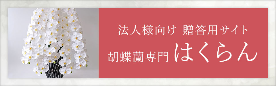 外部サイト「胡蝶蘭専門 はくらん」ショップへ