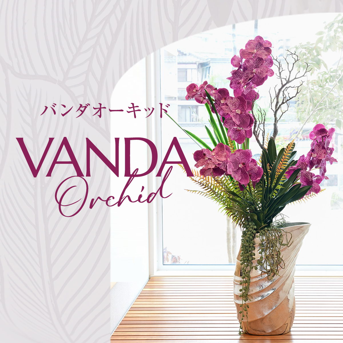/images/feature/new_mag-banda/vanda2026_1200.jpg