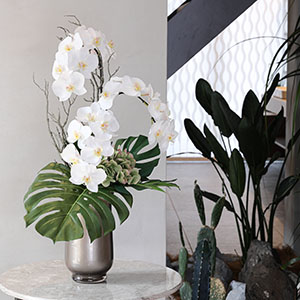 ブランドコンセプト