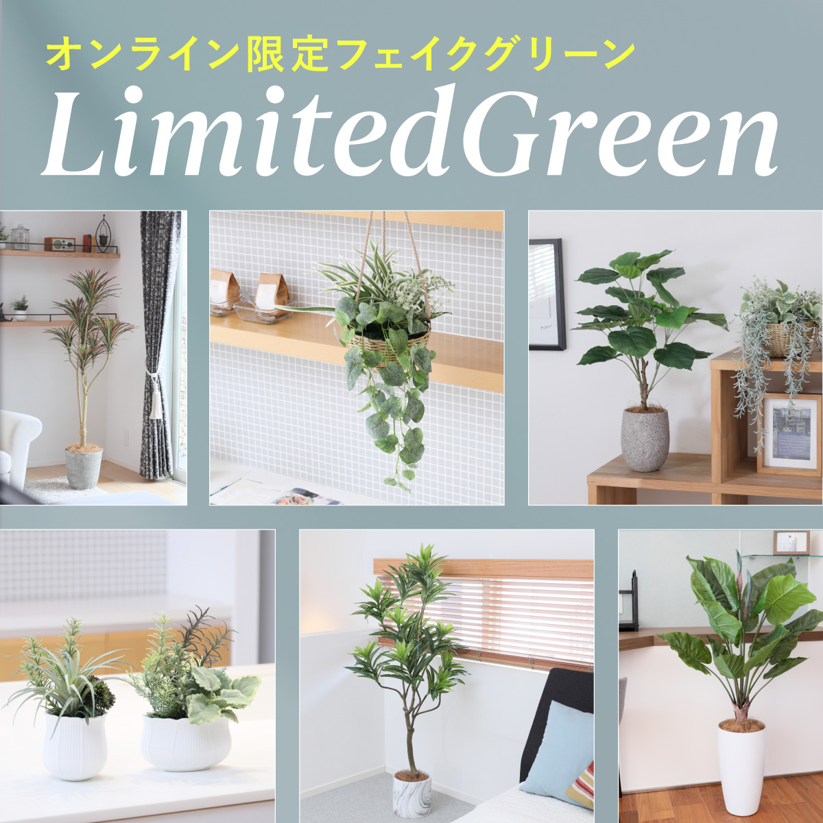 オンライン限定フェイクグリーン