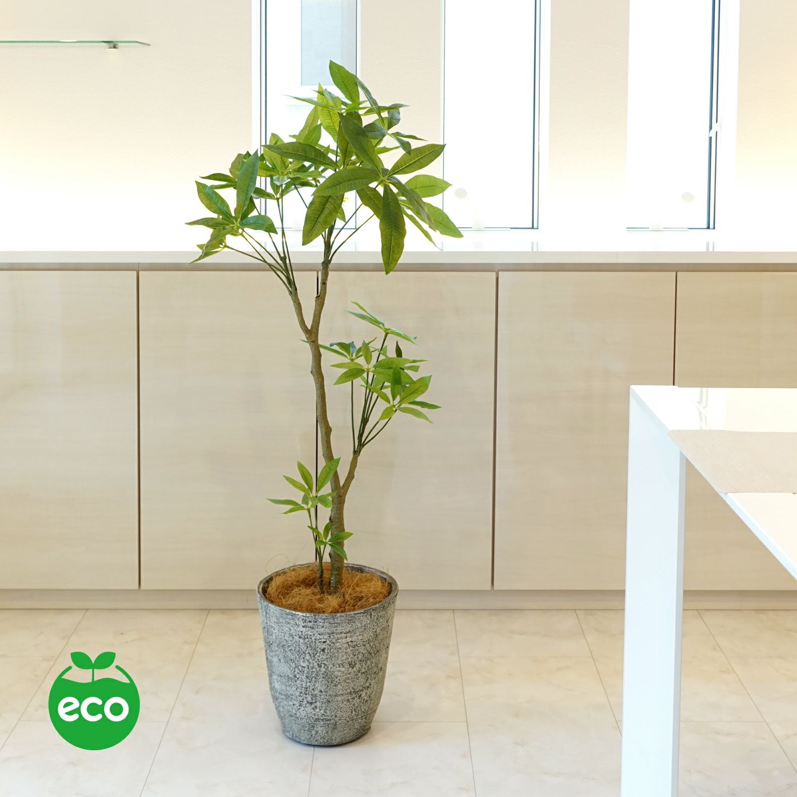 パキラ フェイクグリーン [59] 高さ130cm 観葉植物 開店祝い エコ