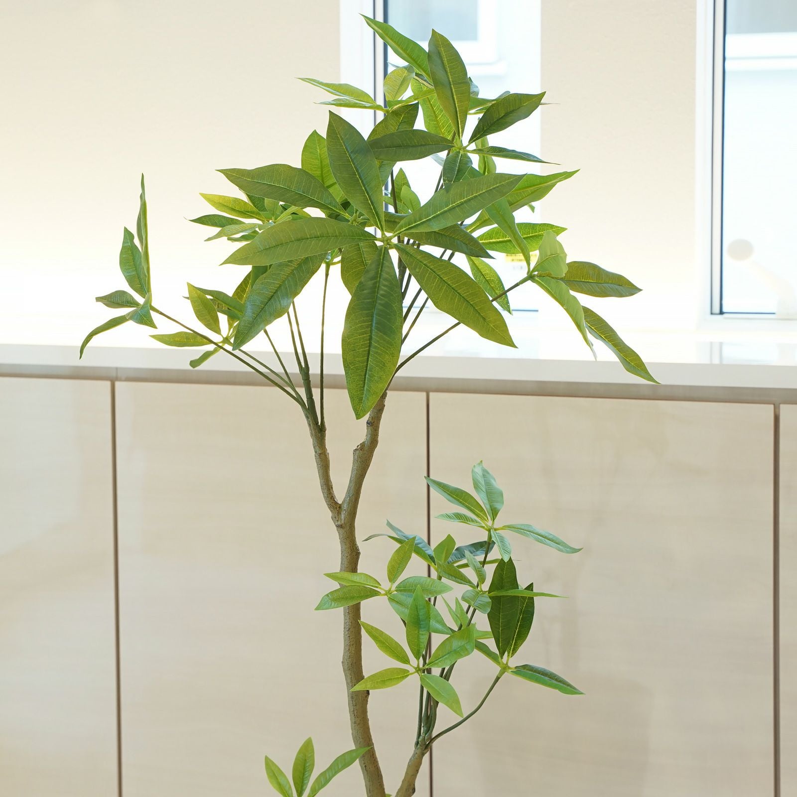 パキラ フェイクグリーン [59] 高さ130cm 観葉植物 開店祝い エコ