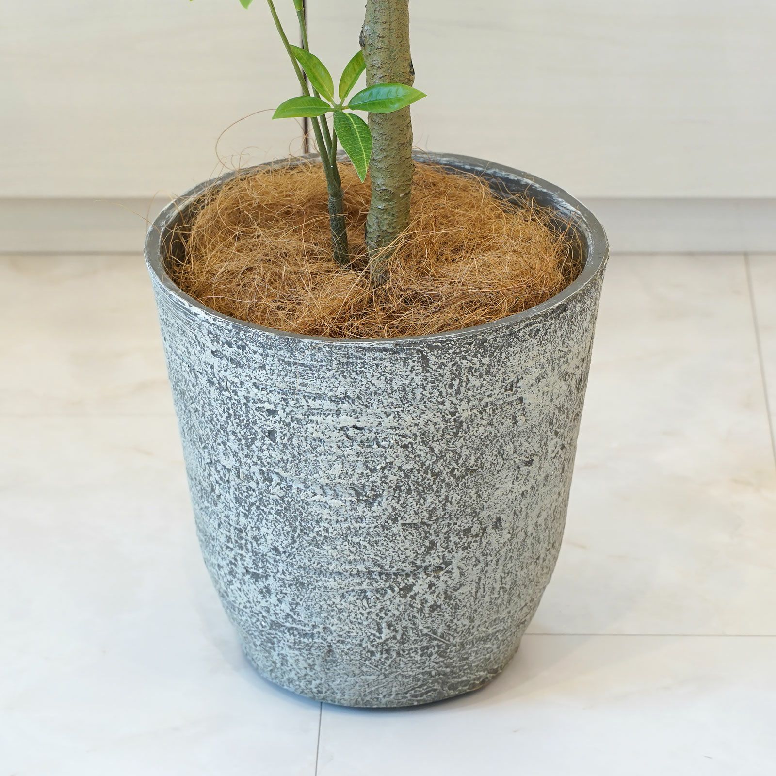 レトロ　フェイク観葉植物 不二貿易（Fuji Boeki） フェイクグリーン シダ 高さ40cm セラミック