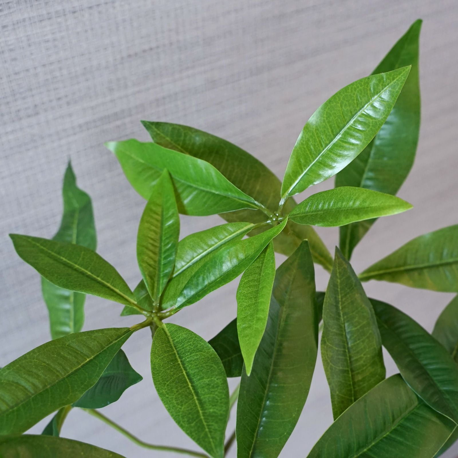ツイストパキラ フェイクグリーン [78] 高さ103cm 観葉植物 エコ
