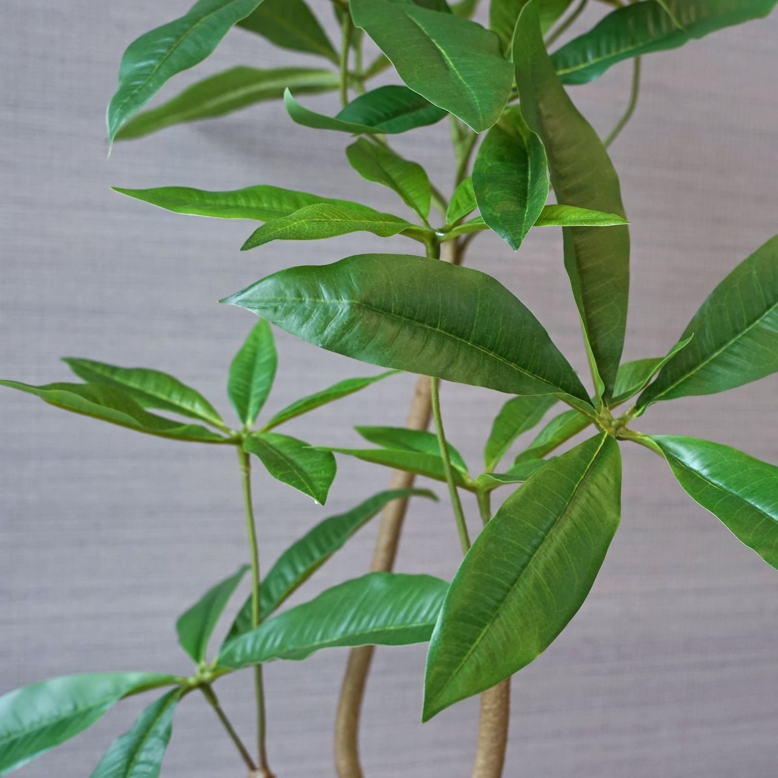 ツイストパキラ フェイクグリーン [78] 高さ103cm 観葉植物 エコ