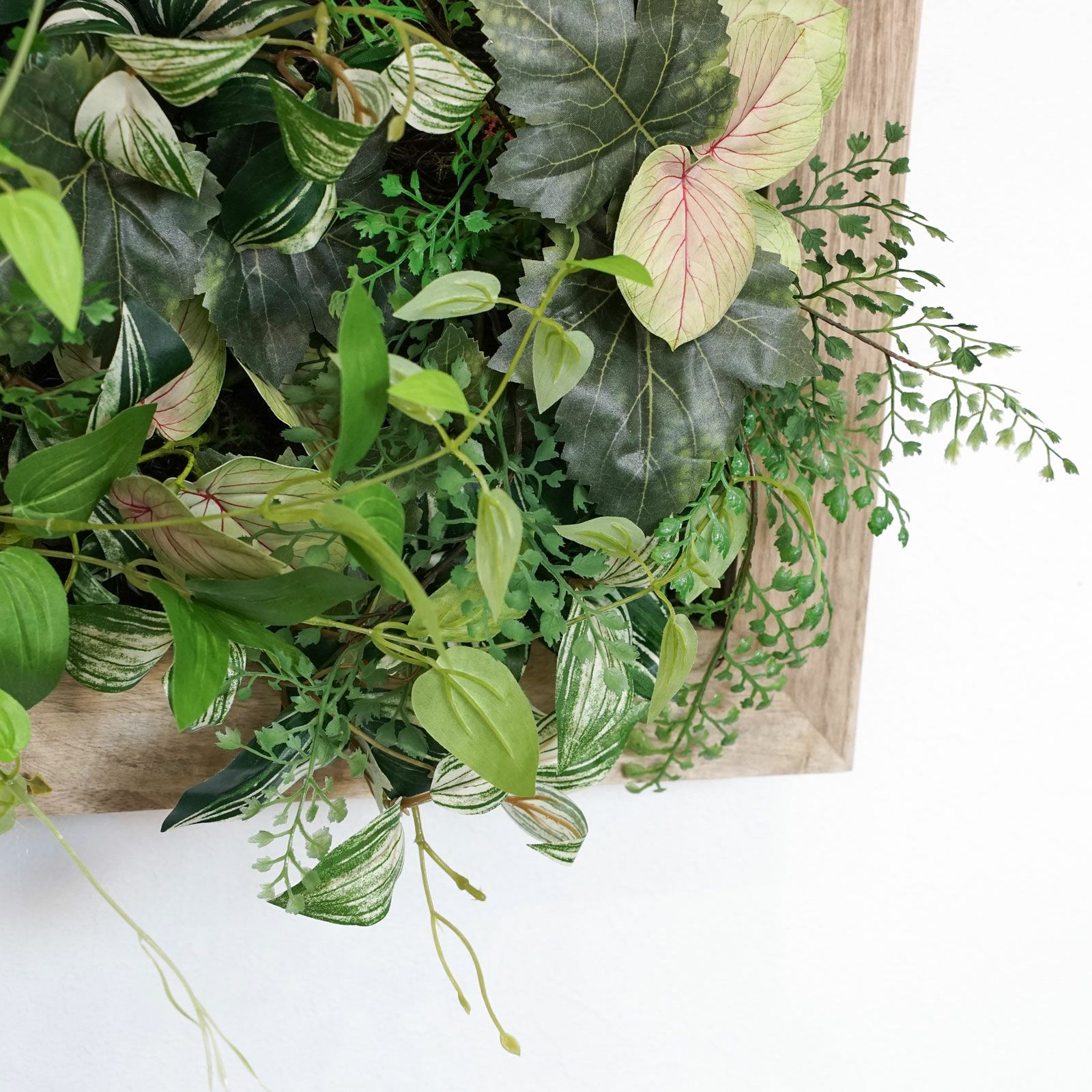 オンライン限定》フェイクグリーン フレーム [WEB372] 観葉植物 壁掛け