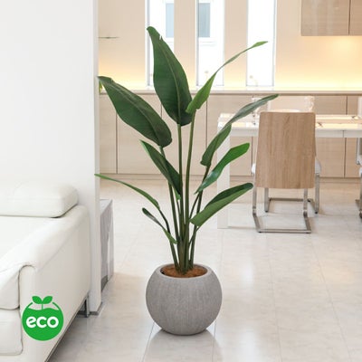 オーガスタ フェイクグリーン [100] BA 高さ150cm 観葉植物 開店祝い 