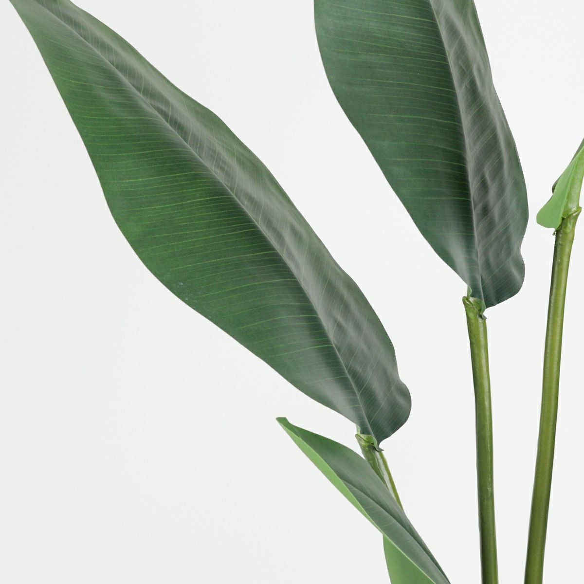 オーガスタ フェイクグリーン [100] BA 高さ150cm 観葉植物 開店祝い
