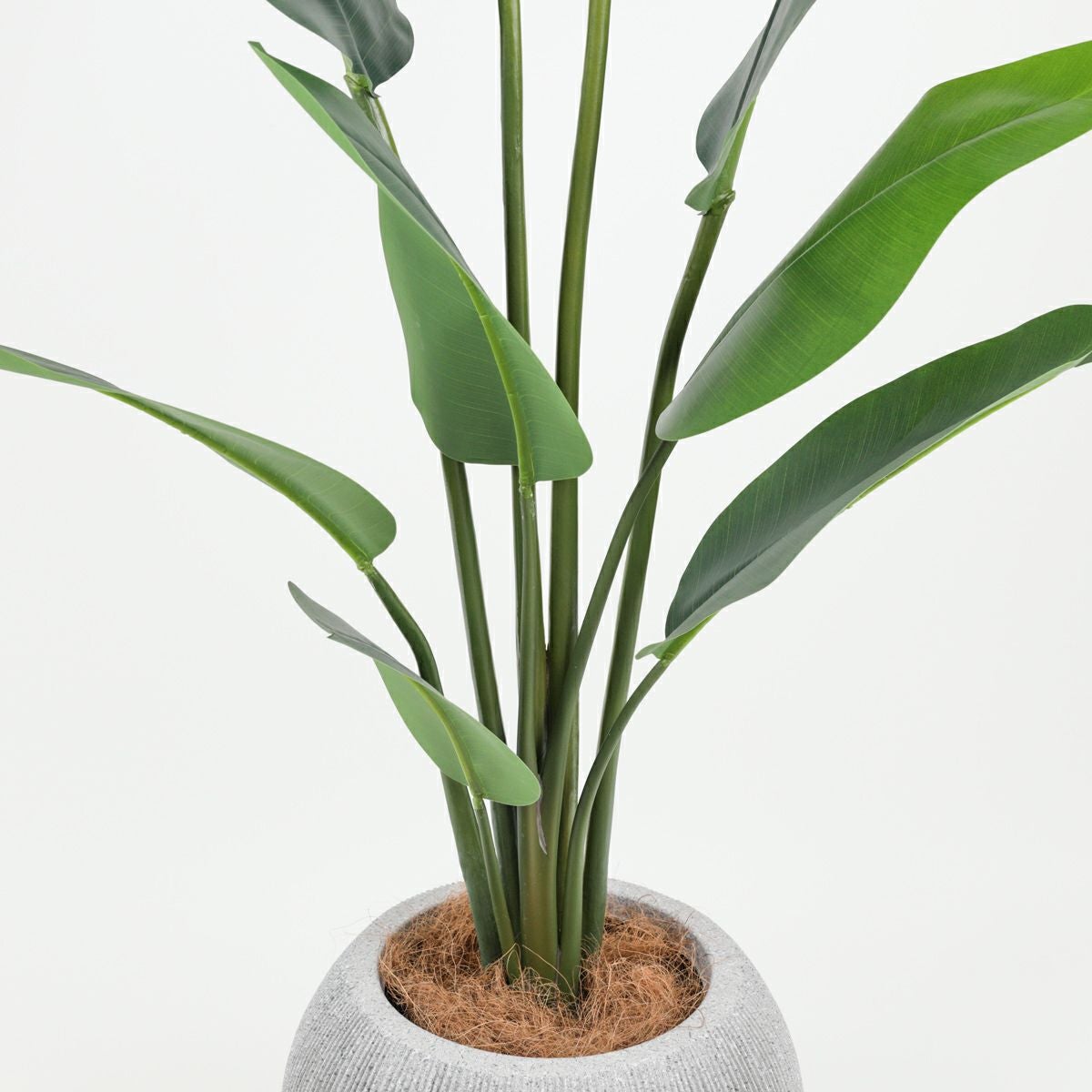 オーガスタ フェイクグリーン [100] BA 高さ150cm 観葉植物 開店祝い