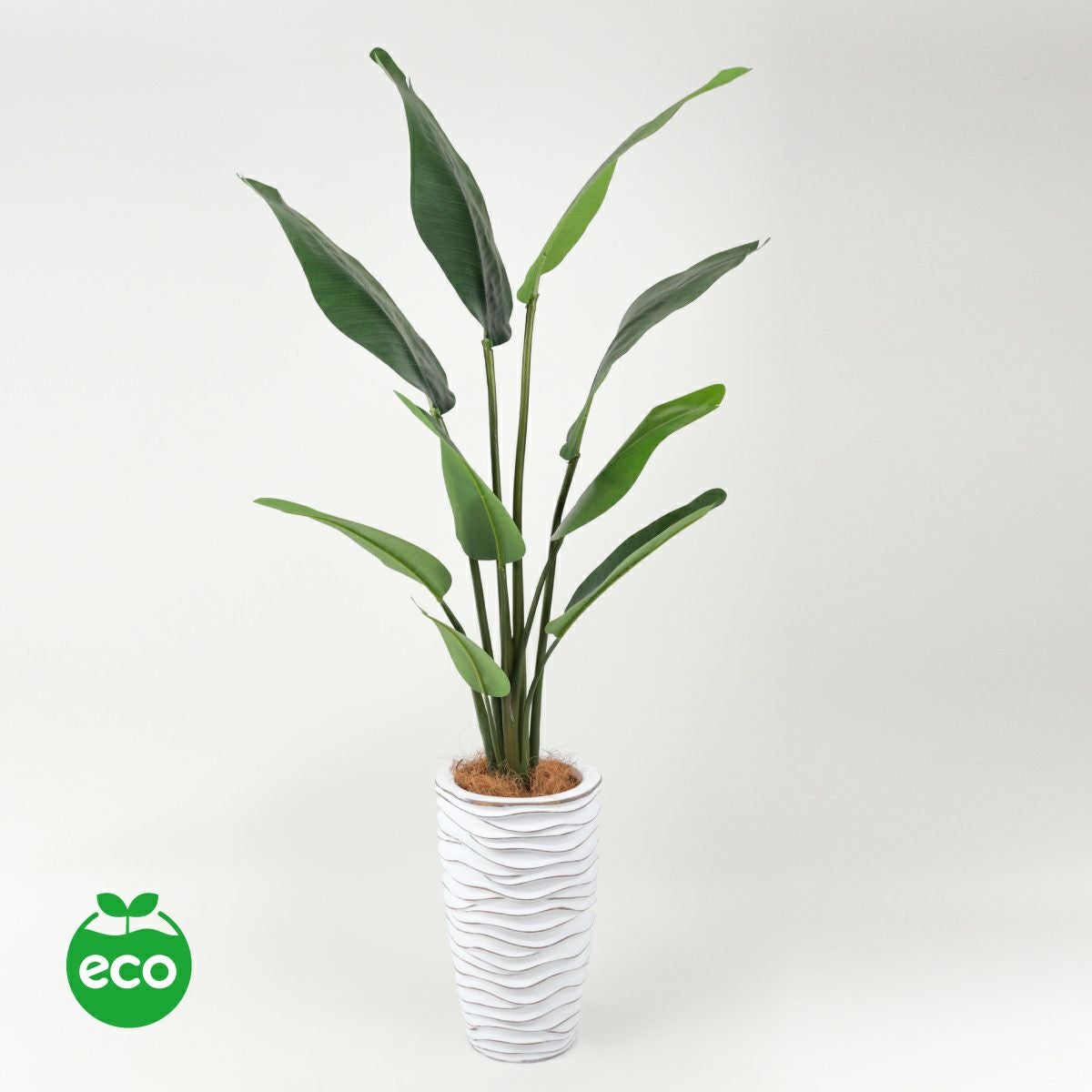 オーガスタ フェイクグリーン [100] BA 高さ150cm 観葉植物 開店祝い