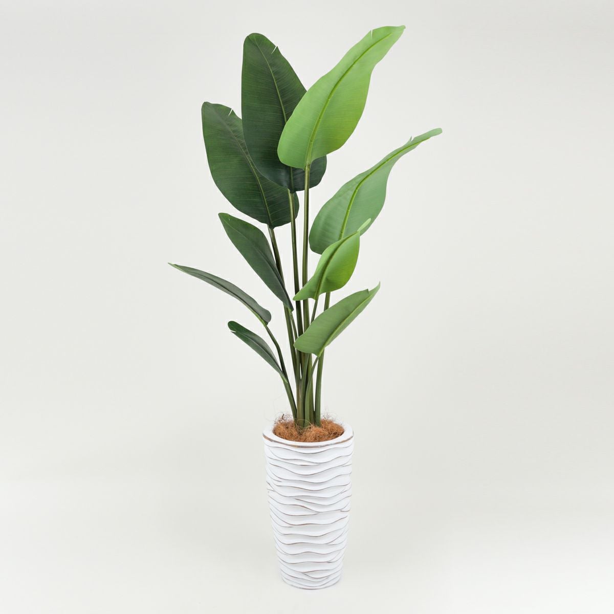 オーガスタ フェイクグリーン [101] BA 高さ165cm 観葉植物 開店祝い
