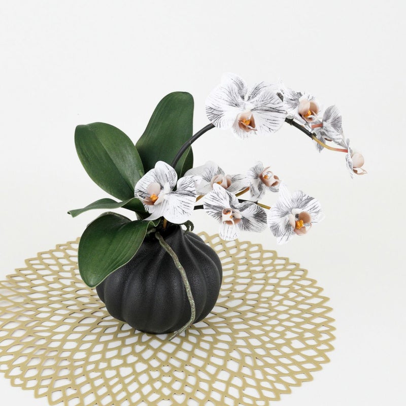 胡蝶蘭 アレンジメント [02]