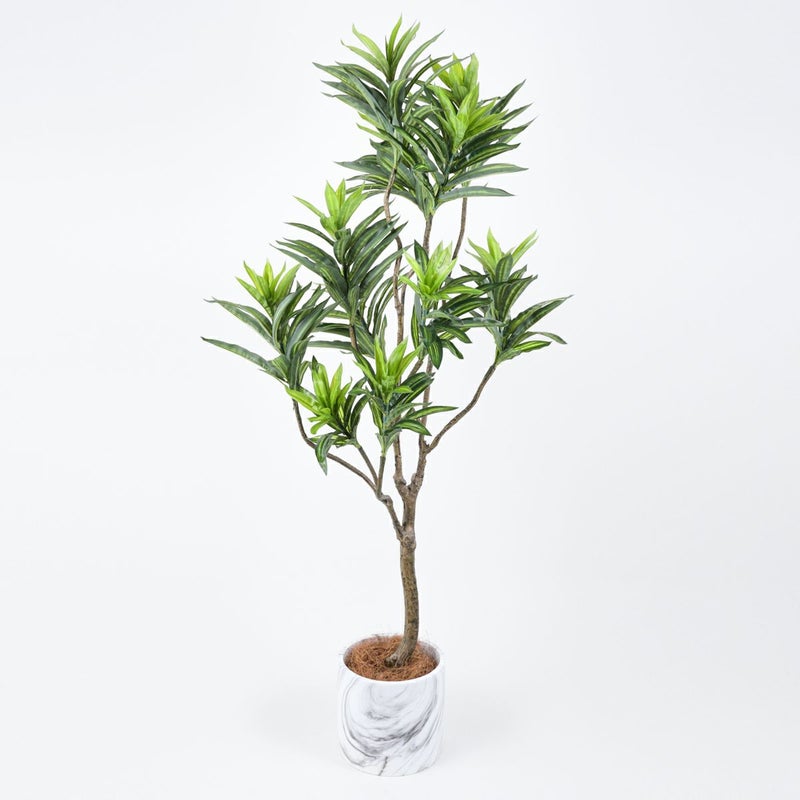 《オンライン限定》 ソングオブジャマイカ フェイクグリーン [WEB526]