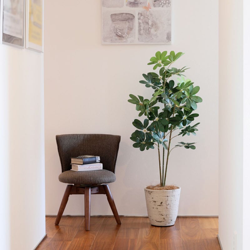 《オンライン限定》 シェフレラ フェイクグリーン [WEB527]