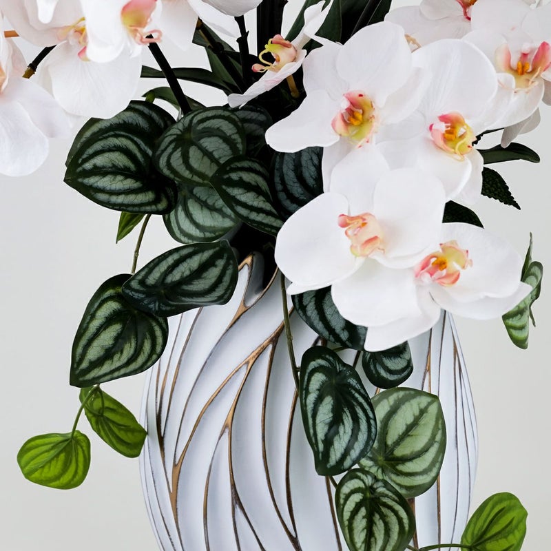 胡蝶蘭 アレンジメント [06A] BA