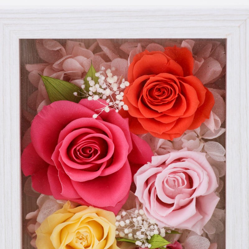 プリザーブドフラワー [355][357][378][379]