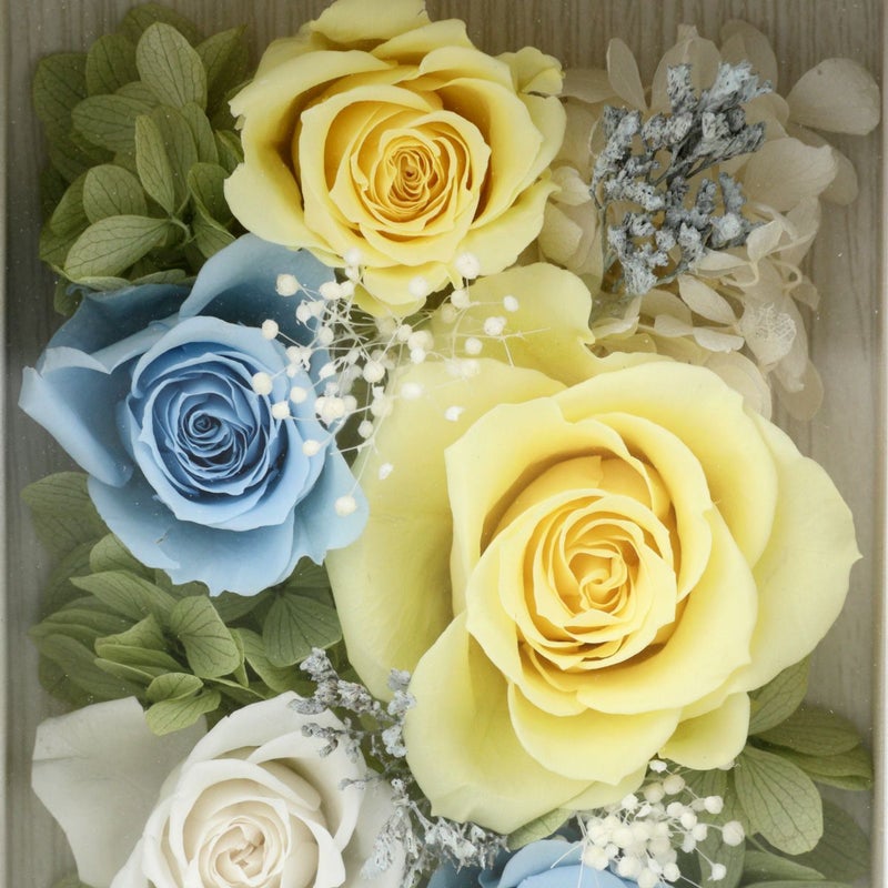 プリザーブドフラワー [355][357][378][379]