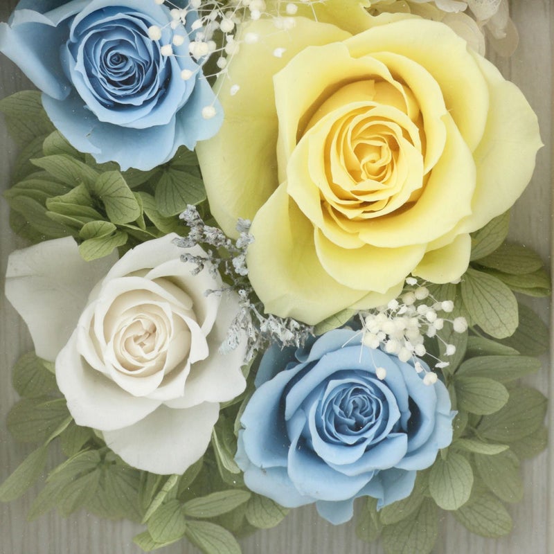 プリザーブドフラワー [355][357][378][379]