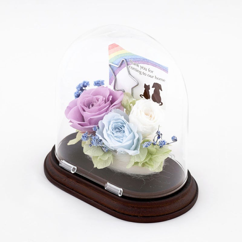 ペット用 プリザーブドフラワー [361]