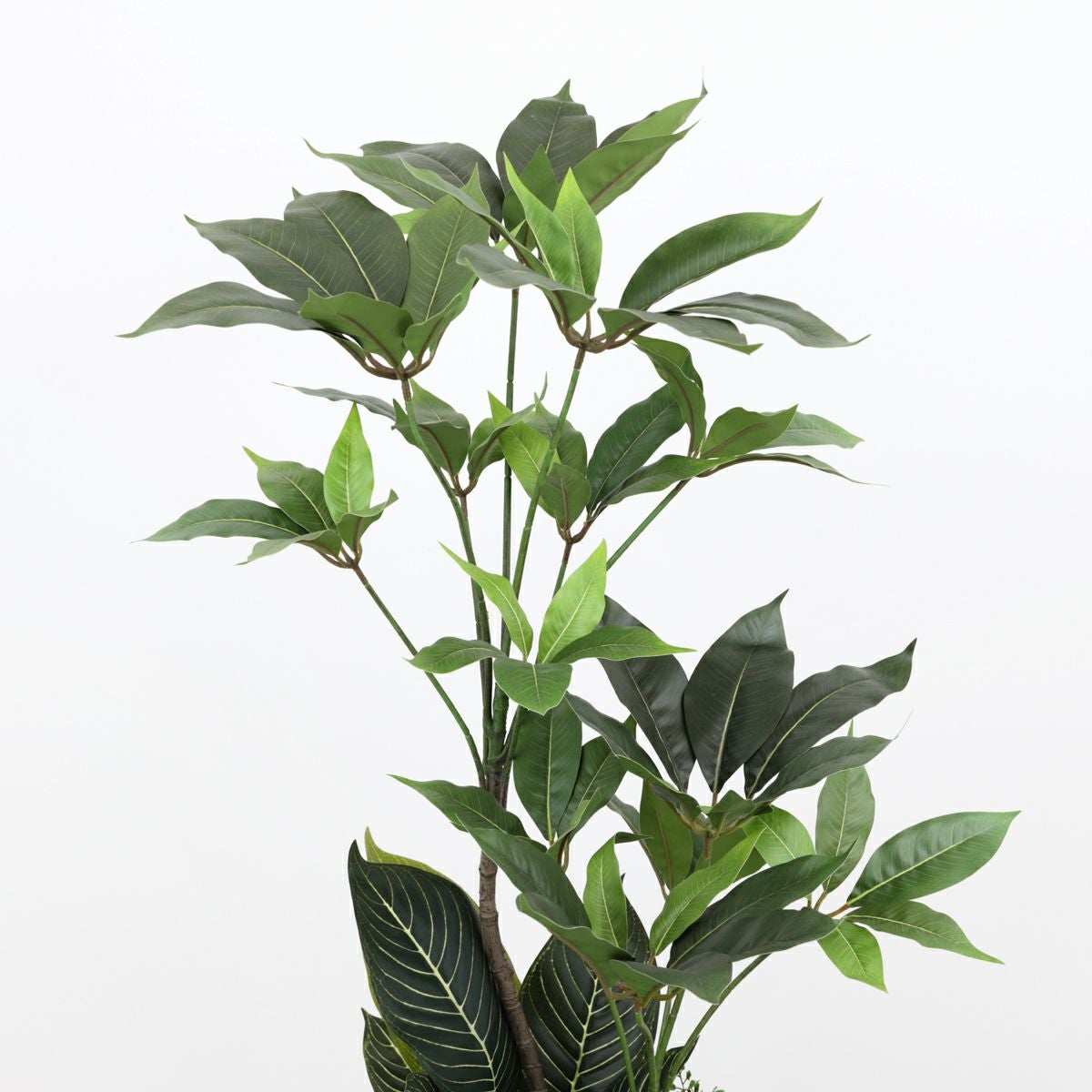 寄せ植え ツピタンサス フェイクグリーン [P-20] BA 高さ135cm 観葉