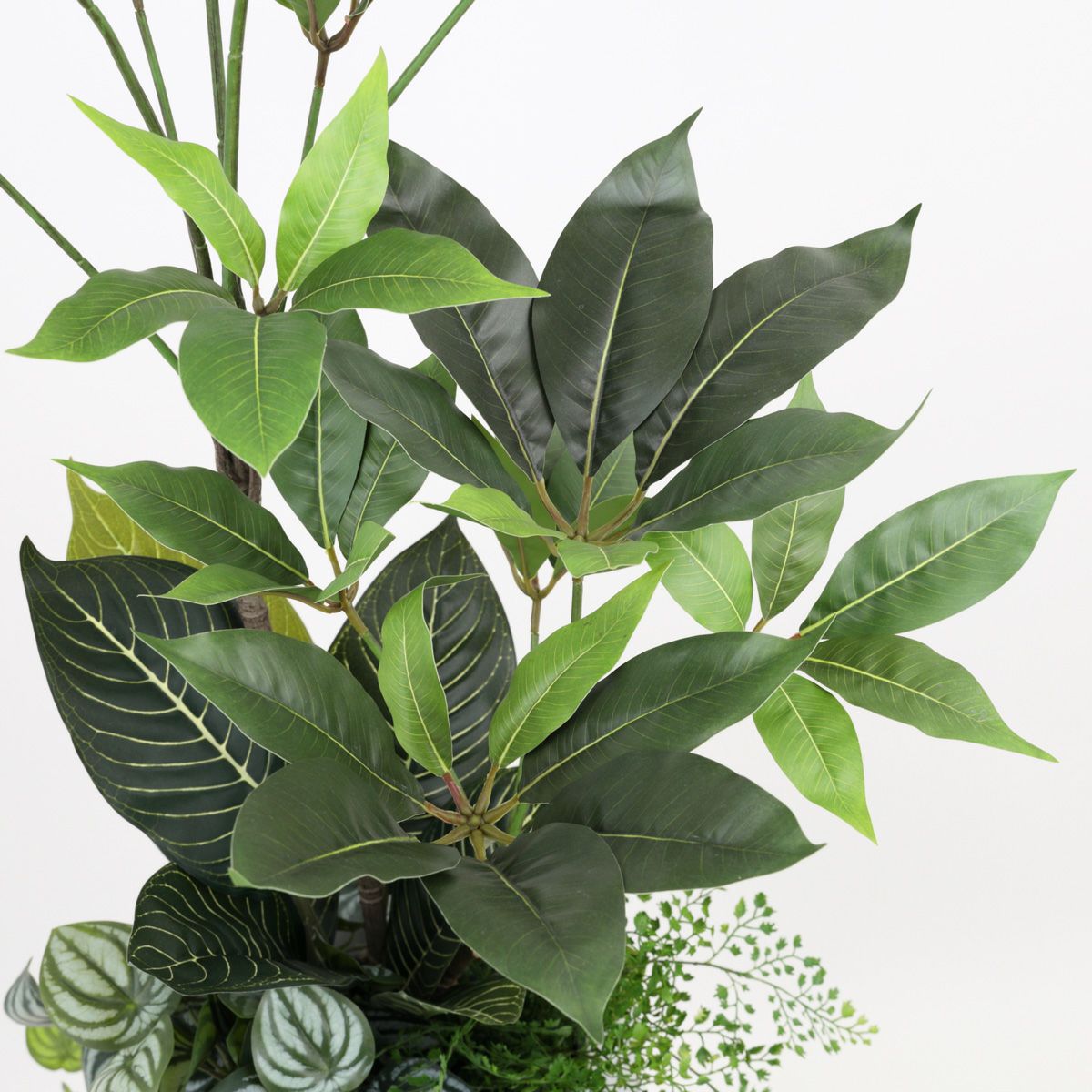 寄せ植え ツピタンサス フェイクグリーン [P-20] BA 高さ135cm 観葉