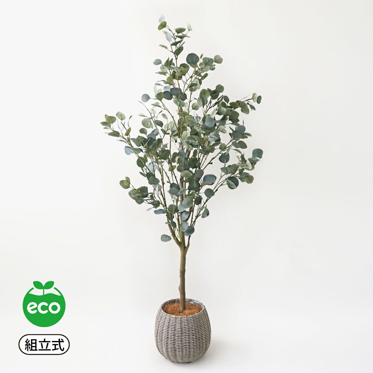 丸葉ユーカリ フェイクグリーン [113] 高さ152cm 観葉植物 開店祝い