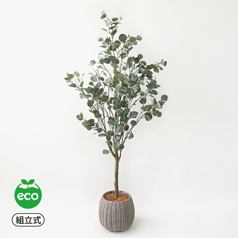 丸葉ユーカリ フェイクグリーン [113]