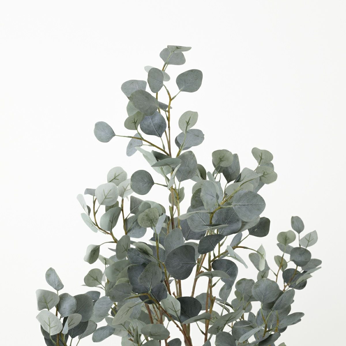 丸葉ユーカリ フェイクグリーン [113] 高さ152cm 観葉植物 開店祝い