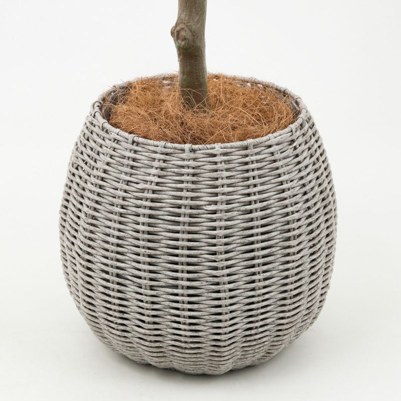 丸葉ユーカリ フェイクグリーン [113]