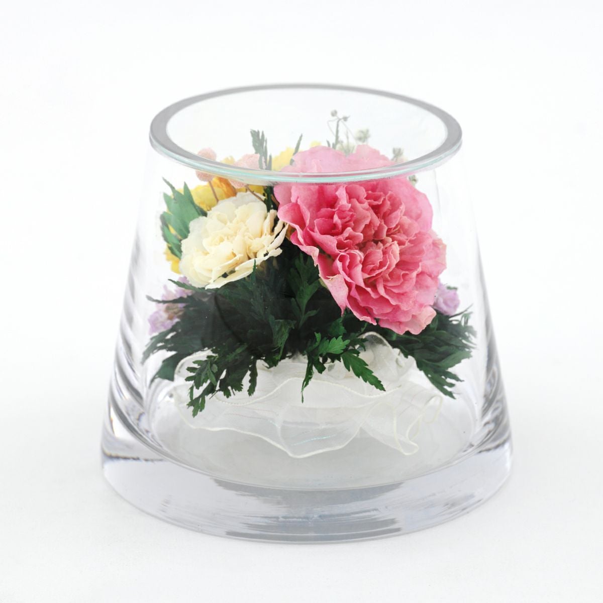 カーネーション ミエル[145]