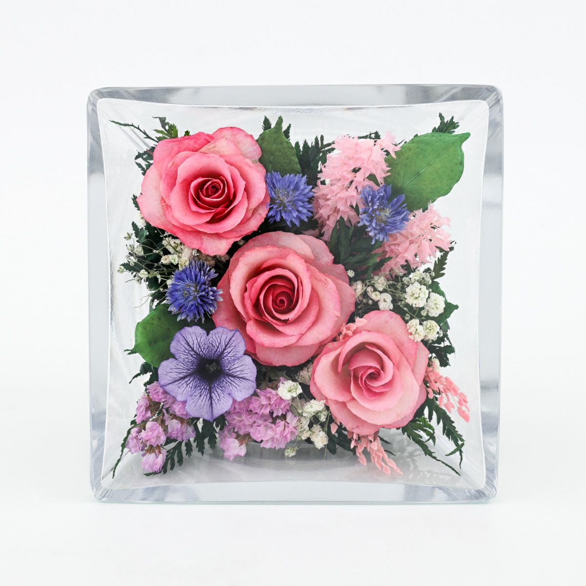 ローズ ミエル[150]