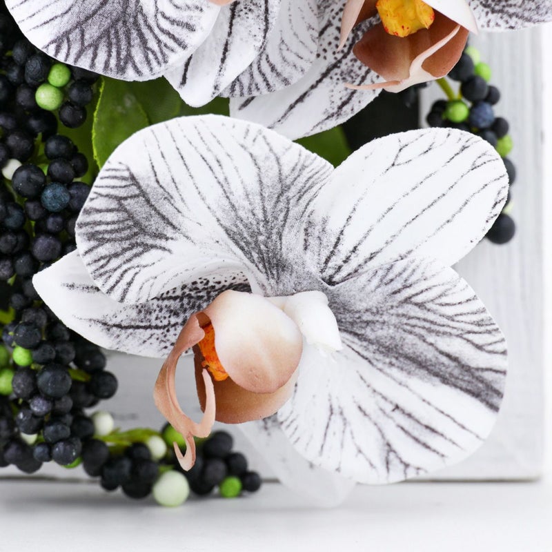 胡蝶蘭 ミニフレーム [WEB546]