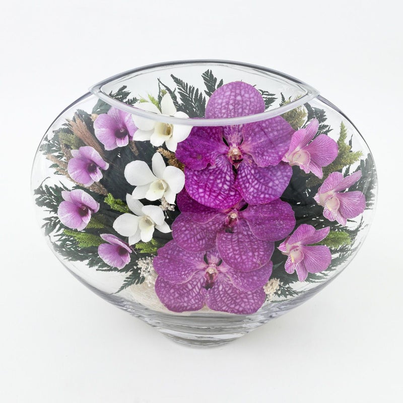 パンダオーキッド ミエル[161]