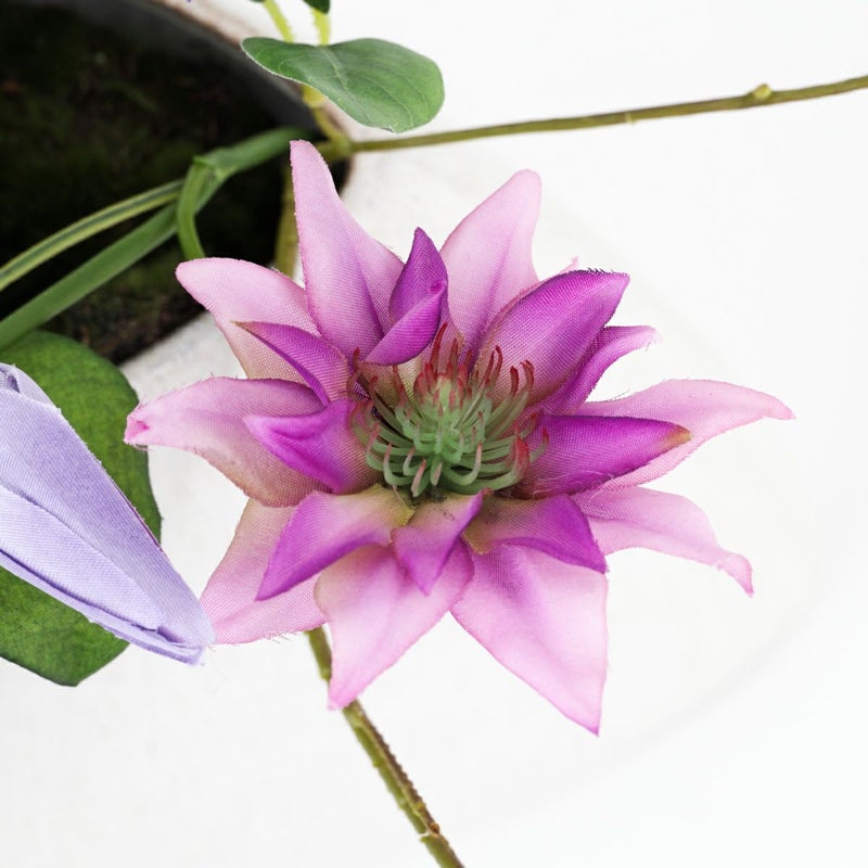 クレマチス アレンジメント [SM-141]