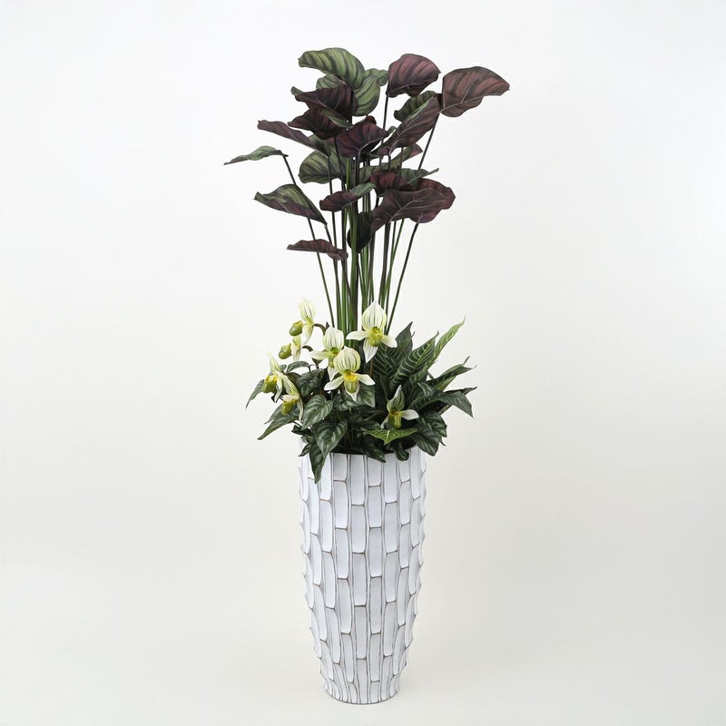 寄せ植え カラテア フェイクグリーン [P-21]